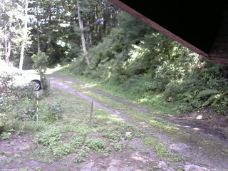 長野県菅平高原 ゆたか山荘 東側(坂下) 2025/08/15 13:15