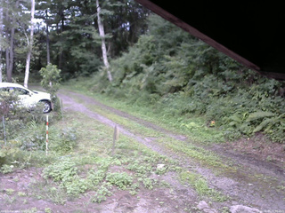 長野県菅平高原 ゆたか山荘 東側(坂下) 2025/08/15 15:00