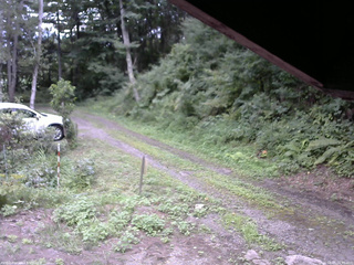 長野県菅平高原 ゆたか山荘 東側(坂下) 2025/08/15 16:00