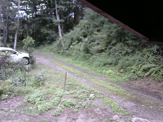 長野県菅平高原 ゆたか山荘 東側(坂下) 2025/08/15 16:30