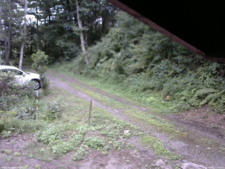 長野県菅平高原 ゆたか山荘 東側(坂下) 2025/08/15 17:15