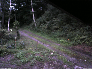 長野県菅平高原 ゆたか山荘 東側(坂下) 2025/08/15 18:45