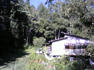 長野県菅平高原 ゆたか山荘 西側(坂上) 2025/08/15 07:30
