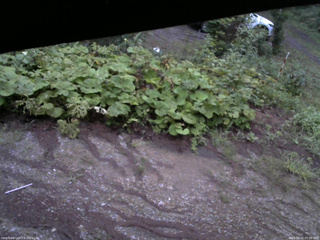 長野県菅平高原 ゆたか山荘 駐車場 2025/08/15 05:00
