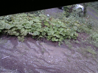 長野県菅平高原 ゆたか山荘 駐車場 2025/08/15 05:15