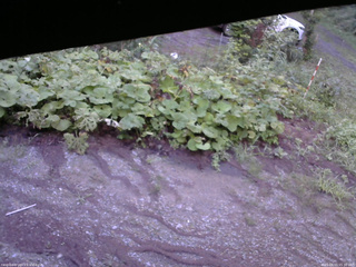 長野県菅平高原 ゆたか山荘 駐車場 2025/08/15 05:30