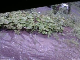 長野県菅平高原 ゆたか山荘 駐車場 2025/08/15 05:45
