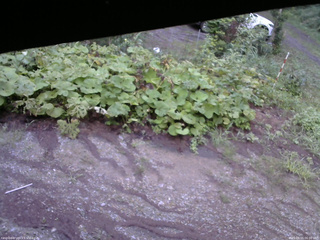 長野県菅平高原 ゆたか山荘 駐車場 2025/08/15 06:00