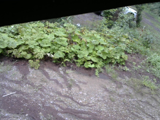 長野県菅平高原 ゆたか山荘 駐車場 2025/08/15 06:15