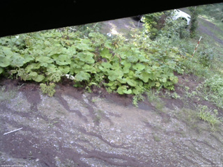 長野県菅平高原 ゆたか山荘 駐車場 2025/08/15 06:30