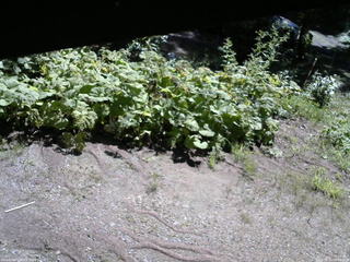 長野県菅平高原 ゆたか山荘 駐車場 2025/08/15 09:00