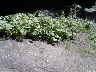 長野県菅平高原 ゆたか山荘 駐車場 2025/08/15 09:15