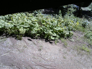 長野県菅平高原 ゆたか山荘 駐車場 2025/08/15 09:30