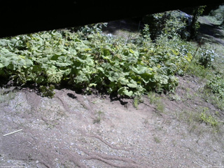 長野県菅平高原 ゆたか山荘 駐車場 2025/08/15 09:45