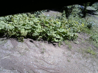 長野県菅平高原 ゆたか山荘 駐車場 2025/08/15 10:00