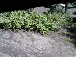 長野県菅平高原 ゆたか山荘 駐車場 2025/08/15 10:45