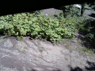 長野県菅平高原 ゆたか山荘 駐車場 2025/08/15 11:00