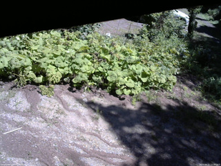 長野県菅平高原 ゆたか山荘 駐車場 2025/08/15 11:30