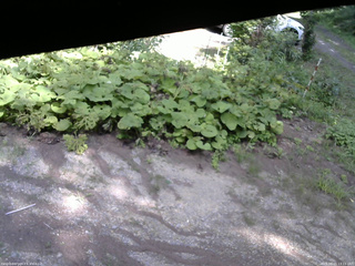 長野県菅平高原 ゆたか山荘 駐車場 2025/08/15 13:15