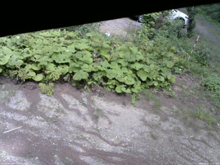 長野県菅平高原 ゆたか山荘 駐車場 2025/08/15 13:45
