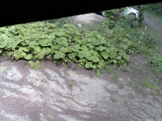 長野県菅平高原 ゆたか山荘 駐車場 2025/08/15 14:00
