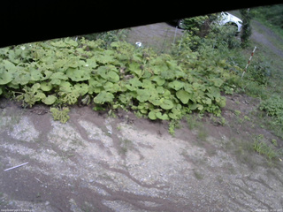 長野県菅平高原 ゆたか山荘 駐車場 2025/08/15 14:30