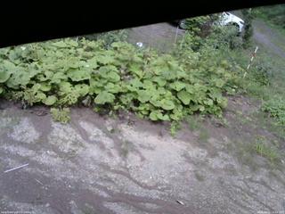 長野県菅平高原 ゆたか山荘 駐車場 2025/08/15 14:45