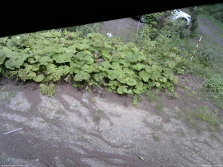長野県菅平高原 ゆたか山荘 駐車場 2025/08/15 15:00