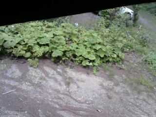 長野県菅平高原 ゆたか山荘 駐車場 2025/08/15 15:15