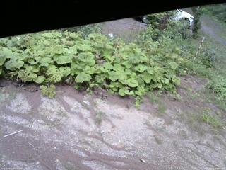 長野県菅平高原 ゆたか山荘 駐車場 2025/08/15 15:45