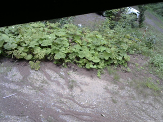 長野県菅平高原 ゆたか山荘 駐車場 2025/08/15 16:15