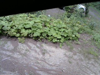 長野県菅平高原 ゆたか山荘 駐車場 2025/08/15 17:15