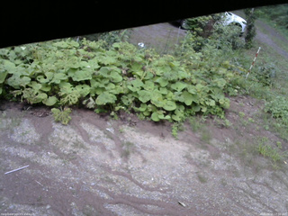 長野県菅平高原 ゆたか山荘 駐車場 2025/08/15 17:30