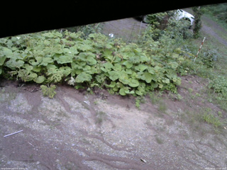 長野県菅平高原 ゆたか山荘 駐車場 2025/08/15 17:45