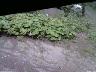 長野県菅平高原 ゆたか山荘 駐車場 2025/08/15 18:00