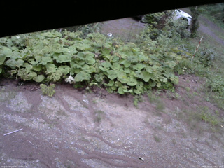 長野県菅平高原 ゆたか山荘 駐車場 2025/08/15 18:15