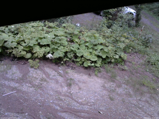 長野県菅平高原 ゆたか山荘 駐車場 2025/08/15 18:30