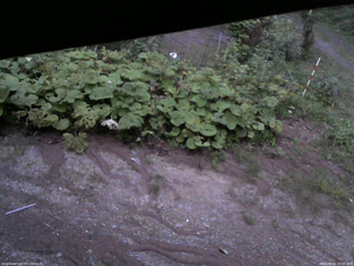 長野県菅平高原 ゆたか山荘 駐車場 2025/08/15 18:45