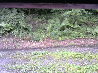 長野県菅平高原 ゆたか山荘 南側 2025/08/16 07:15