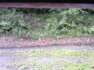 長野県菅平高原 ゆたか山荘 南側 2025/08/16 07:30