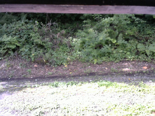 長野県菅平高原 ゆたか山荘 南側 2025/08/16 08:00