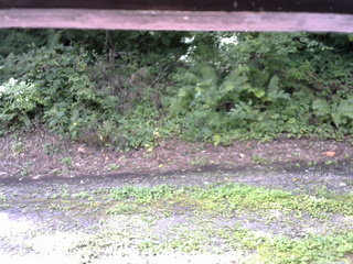 長野県菅平高原 ゆたか山荘 南側 2025/08/16 08:45