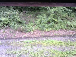 長野県菅平高原 ゆたか山荘 南側 2025/08/16 09:45