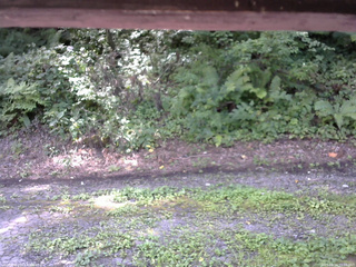 長野県菅平高原 ゆたか山荘 南側 2025/08/16 11:00