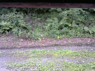 長野県菅平高原 ゆたか山荘 南側 2025/08/16 12:00