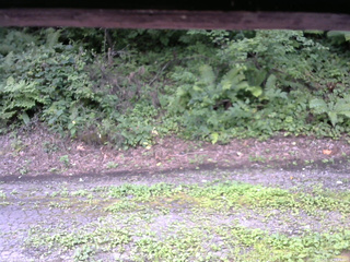 長野県菅平高原 ゆたか山荘 南側 2025/08/16 13:45