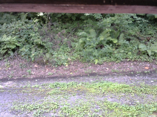 長野県菅平高原 ゆたか山荘 南側 2025/08/16 14:15