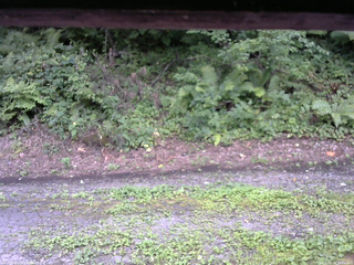 長野県菅平高原 ゆたか山荘 南側 2025/08/16 14:45