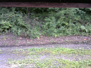 長野県菅平高原 ゆたか山荘 南側 2025/08/16 16:00