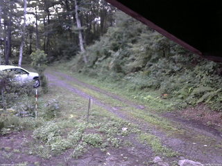 長野県菅平高原 ゆたか山荘 東側(坂下) 2025/08/16 05:15